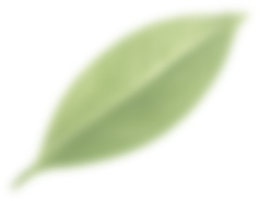 leaf2