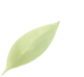 leaf3